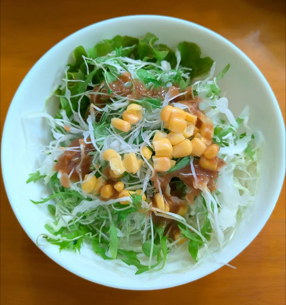 生野菜サラダ|chikakoさん