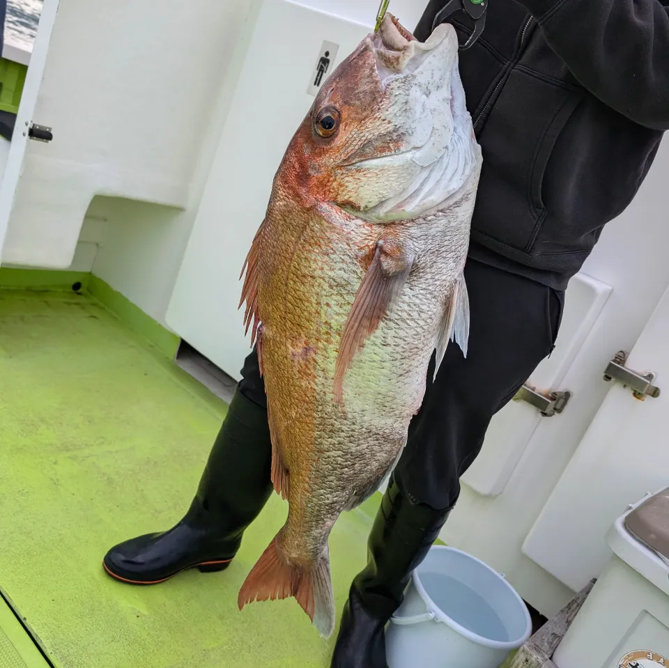 今日の夜ご飯は😁✊🌠✨|yu-ruさん