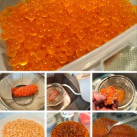 イクラの醤油漬けのレシピを公開します