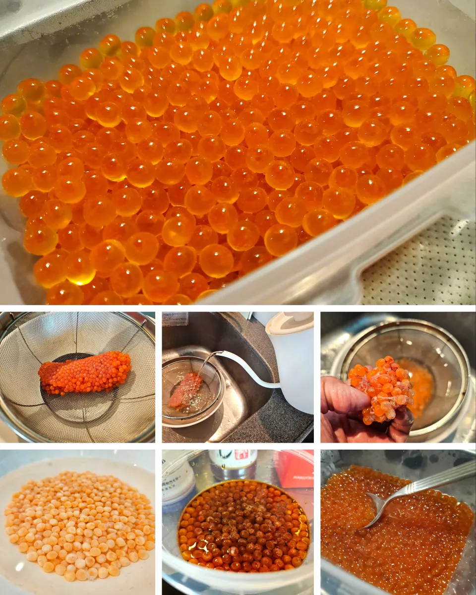 イクラの醤油漬けのレシピを公開します|motohiroさん