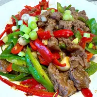 ピーマンの牛肉炒め|河田 みどりさん