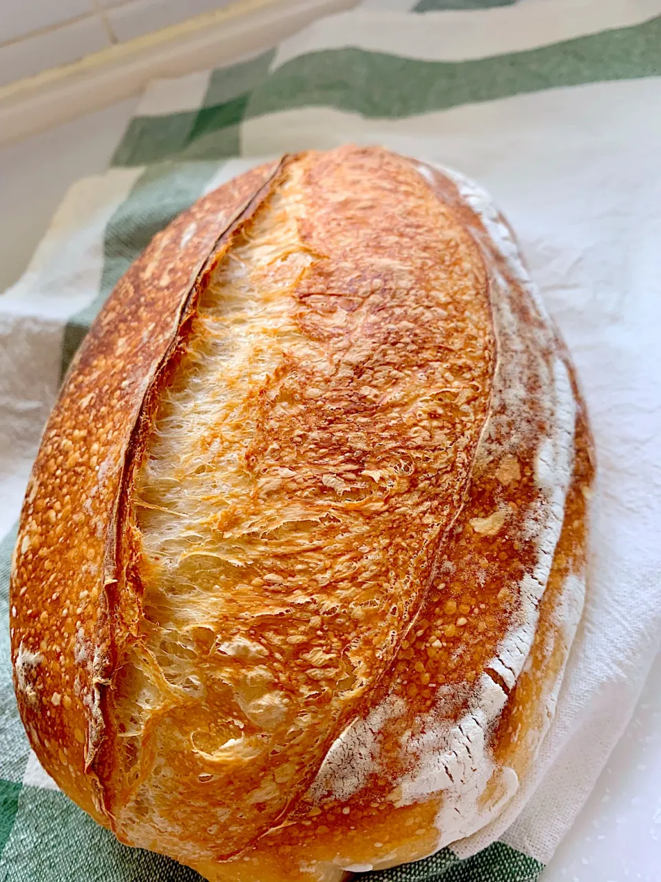 Sunday with homemade bakery; Sourdough Country Loaf (pic1)|gonbenさん