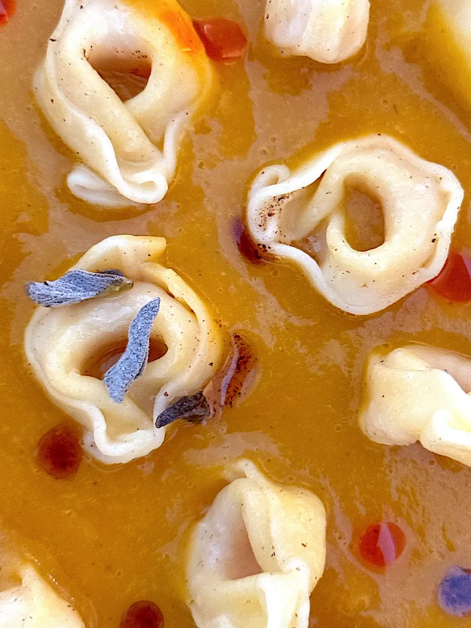 Tortellini au potiron (pumpkin), velouté de butternut et sage finished with drops of beurre noisette & chili oil.|Samさん