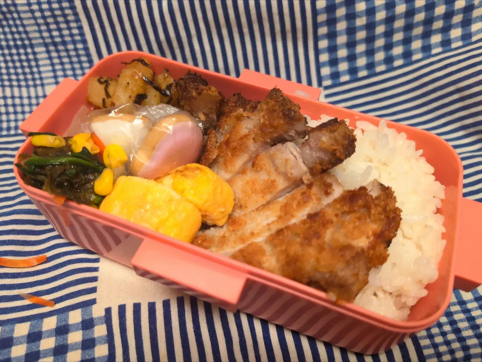 体育祭練習ファイト！弁当|ハリネズミさん