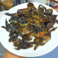 ปูแปะดองน้ำปลากวน|โก๋หนุ่ม นะโม ลูกเต๋าさん