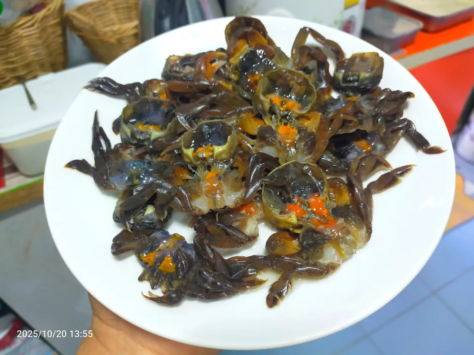 ปูแปะดองน้ำปลากวน|โก๋หนุ่ม นะโม ลูกเต๋าさん