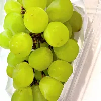 シャインマスカット|よくちゃんさん