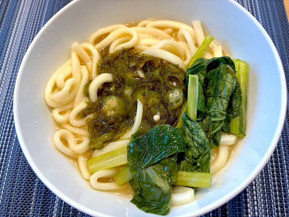 ホット冷や汁うどん|こぐまさん