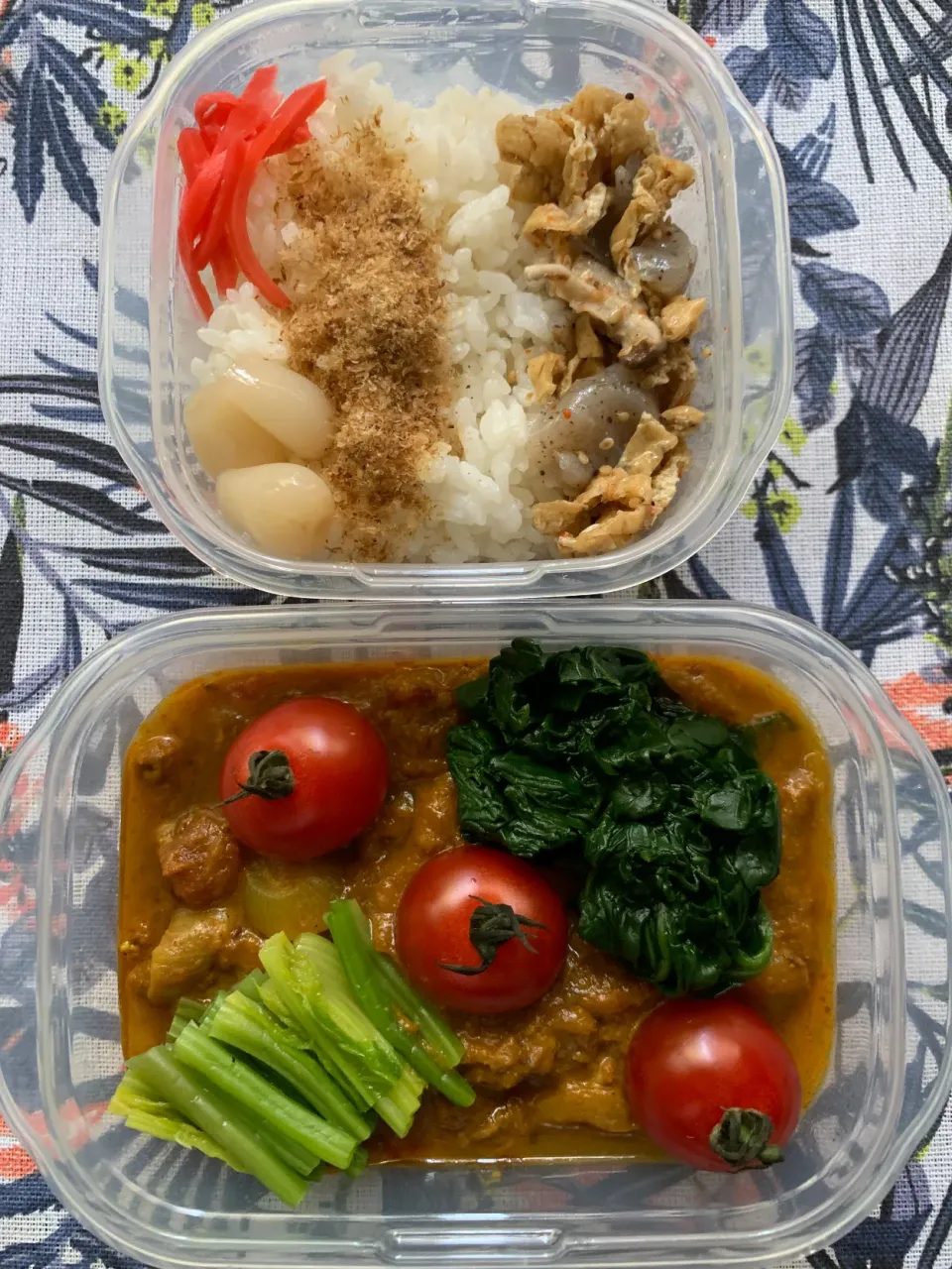 スパイスカリー弁当|いーのさん