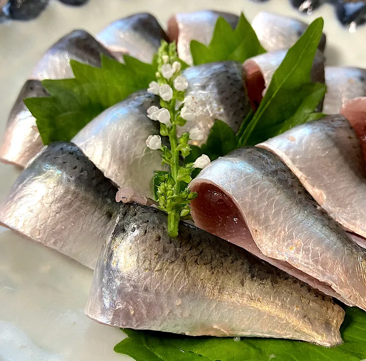 鰯のお刺身|KAORIさん