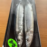 秋刀魚|かすべえ!さん