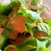 シカクマメ| さささん