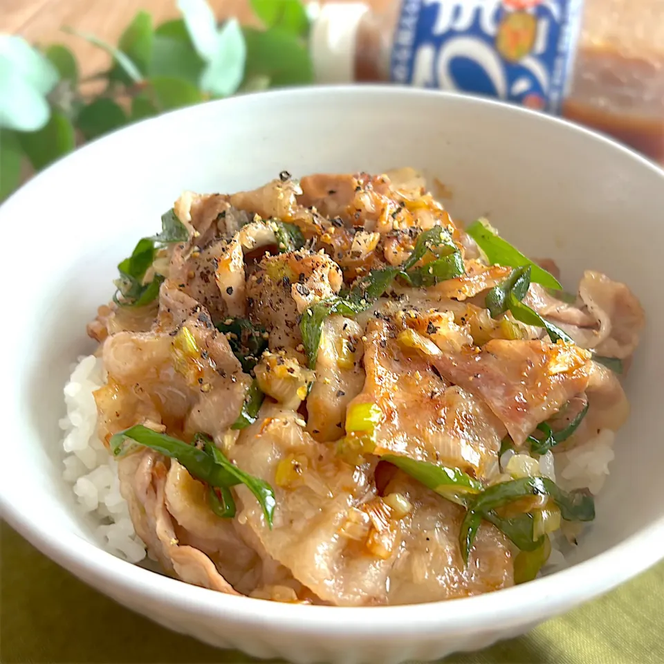 ねぎ塩豚丼|みずほさん