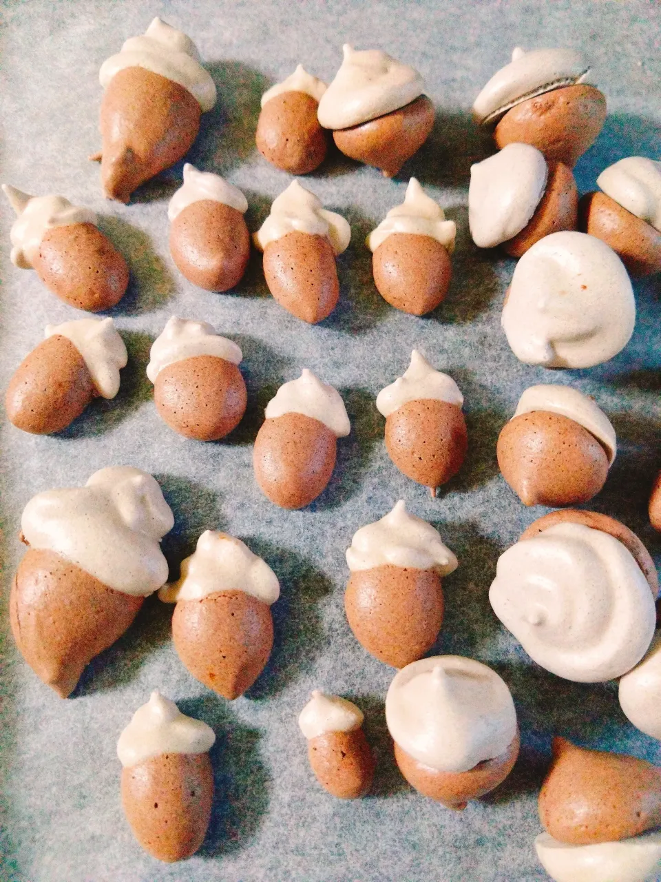 どんぐりメレンゲクッキー|きこりnoteさん