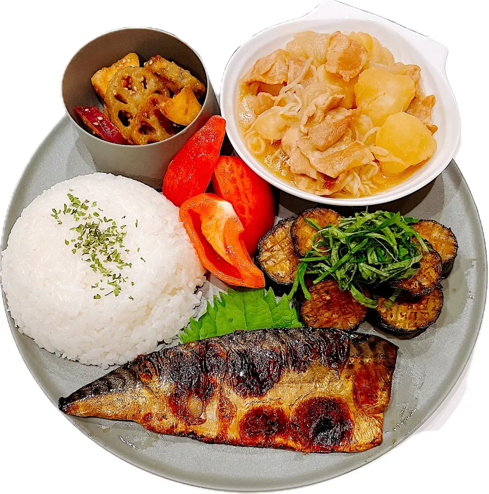 2025.10.21|ゅぃさん