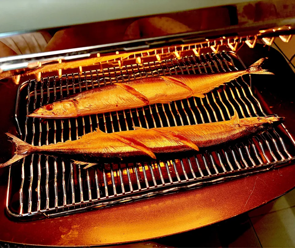 秋刀魚🐟|にゃあ（芸名）さん