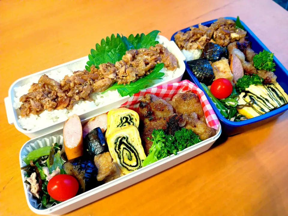 次男・私弁当|tamagomagomagoさん