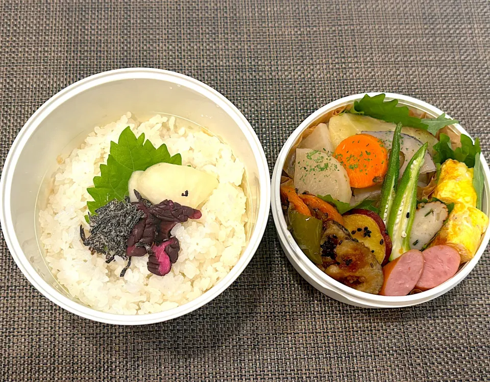 高校生息子のお弁当🍱 ロールキャベツ弁当🍱|Snow10さん