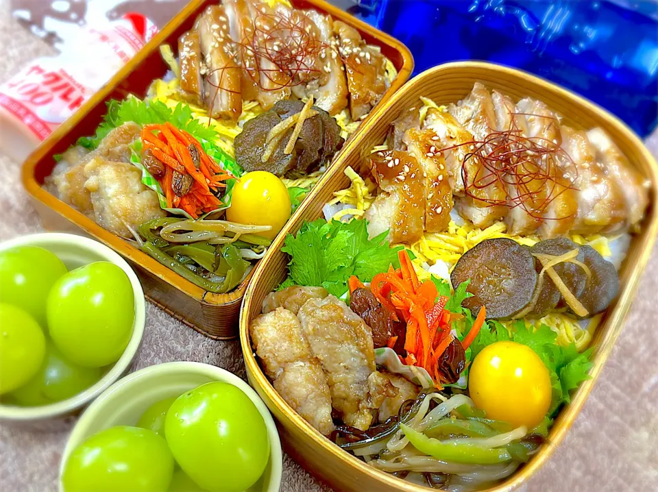 今日の夫婦弁⁽⁽ ◟(灬 ˊωˋ 灬)◞ ⁾⁾💕|桃実さん