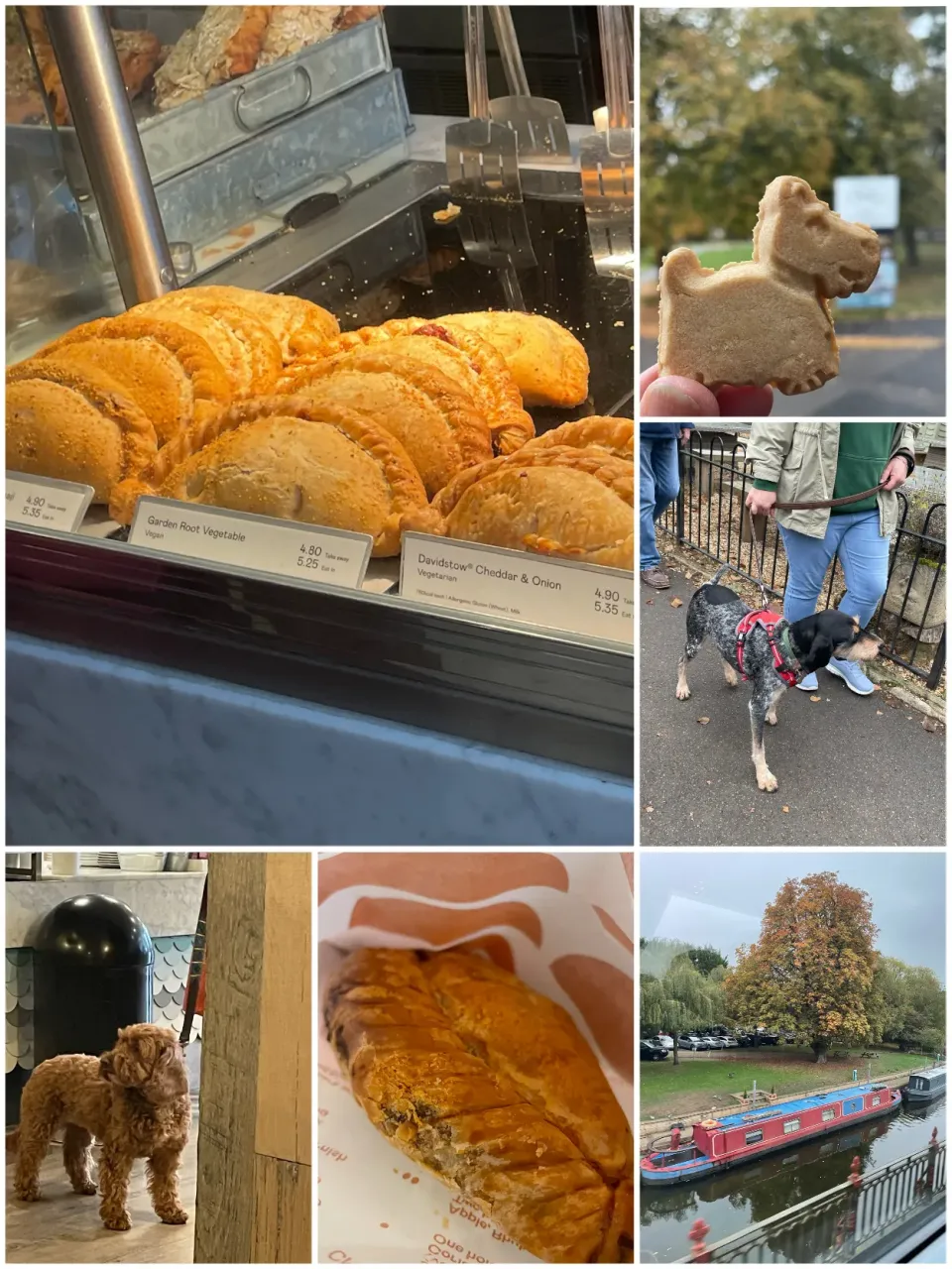 イギリス紀行🇬🇧|yucca@さん