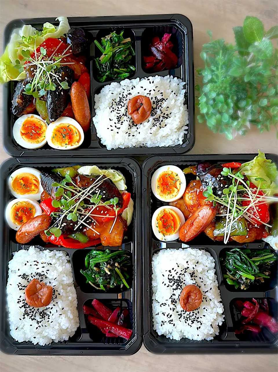 今日のお弁当|みゆき𐤔(◍´͈ ᵕ `͈ ◍)𐤔さん