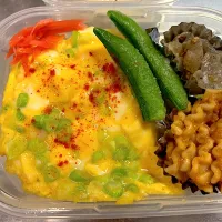 玉子丼弁当🍱| いーのさん