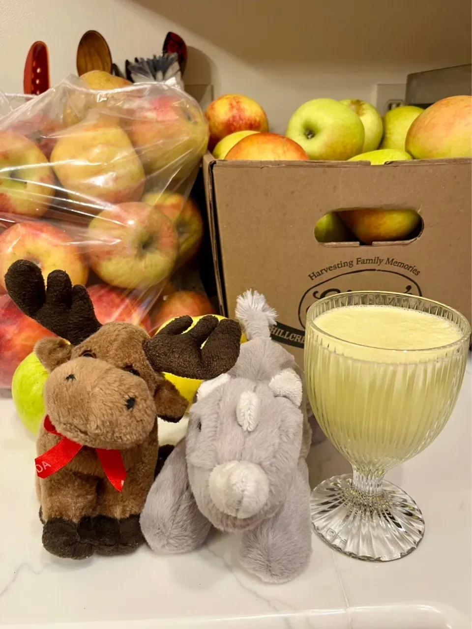 2024/10/21　りんごジュース（りんごの使い途 Part 1）Apple and Celery Juice|21 Boys & 野鳥さん