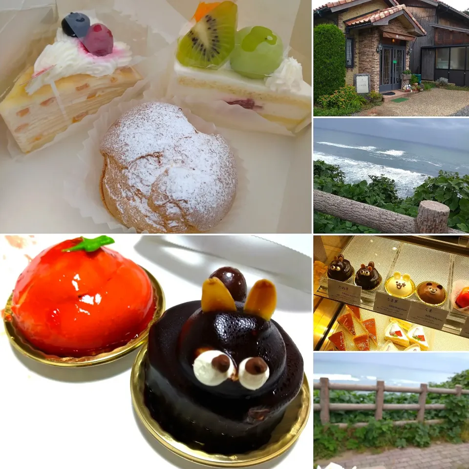 ケーキ|うたかた。さん