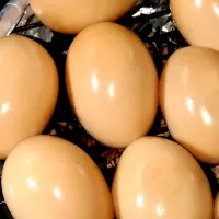 燻製たまご| さと♂さん