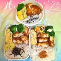 2025/10/22 弁当|ひかまむさん