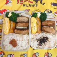 2025/10/23 弁当|ひかまむさん