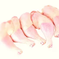 |Wachirapol Chuenchartさん