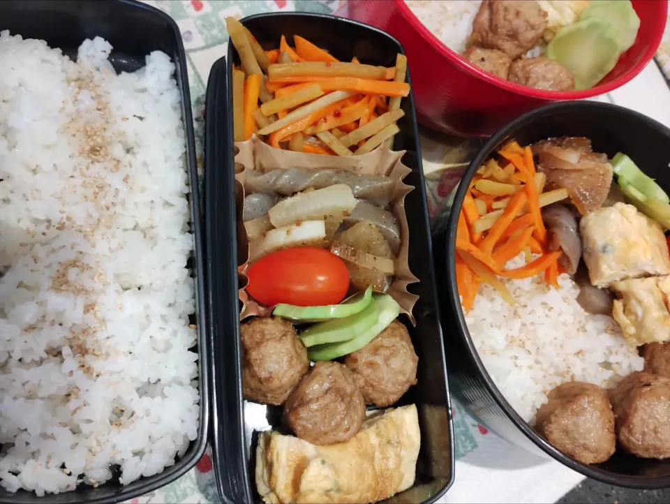 Today'S Bento 和食弁|Reiko Momさん