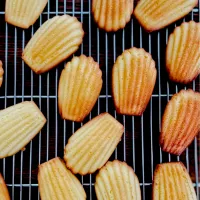 レモンマドレーヌ🍋|かずぴょんさん