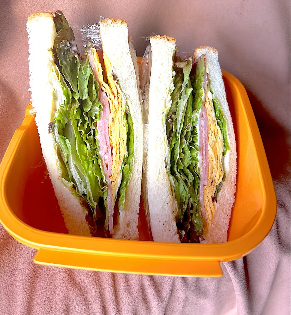 サンドウィッチ🥪|kyonmiさん