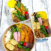 高校生女子へのお弁当|ぐみさん