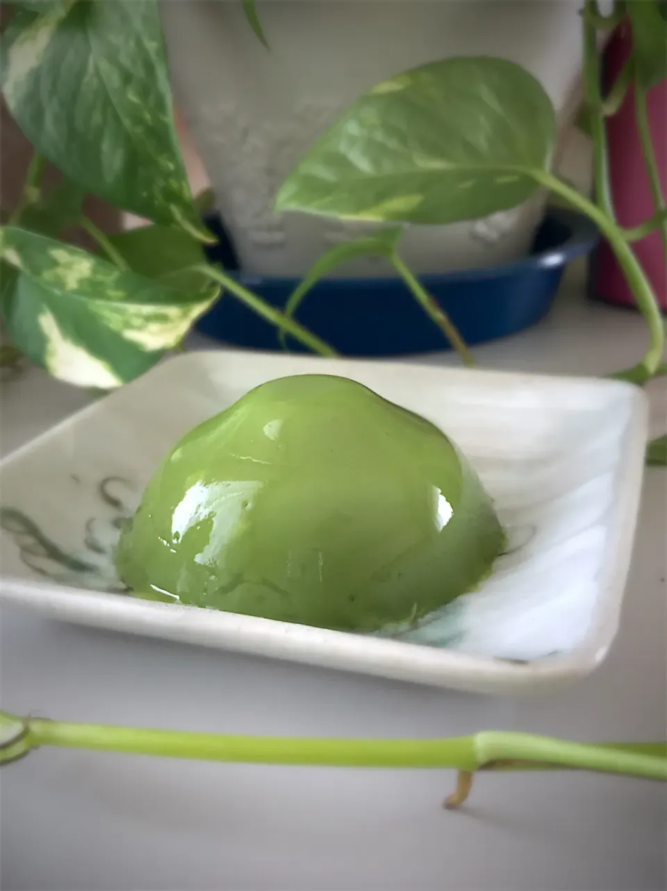 抹茶のくずねり|Abbeyさん