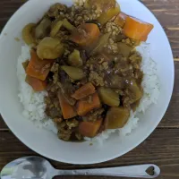 ひき肉カレー。|おいはる　2023.09〜現在3年目さん