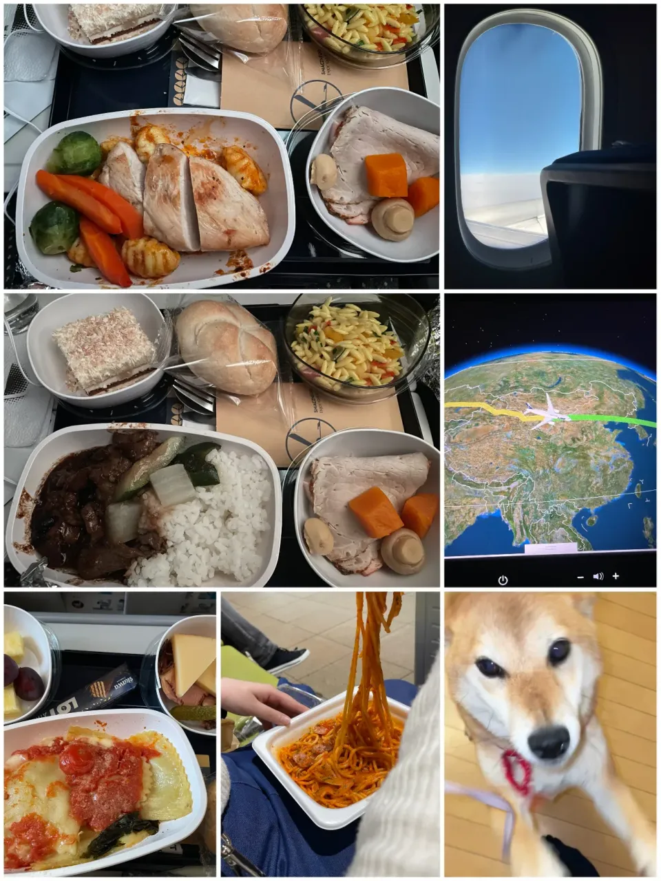 イギリス紀行🇬🇧|yucca@さん