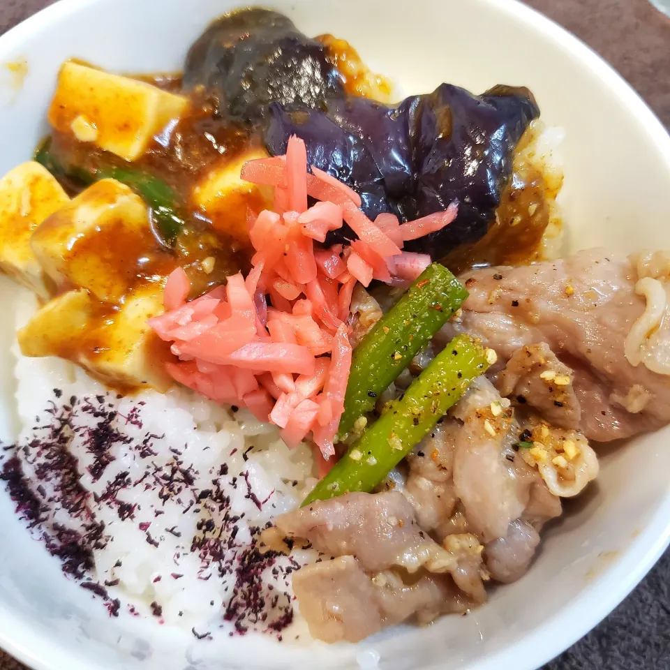 麻婆茄子と豚肉炒めの味見丼|もりぞうさん