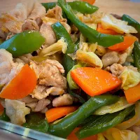 野菜炒め|パパ手料理さん