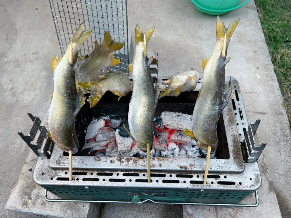 鮎の塩焼き🐟✨|nacchan♪さん