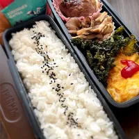 男子高校生のお弁当|ナオさん