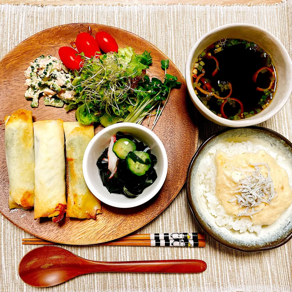 🐔夜【ササミ大葉チーズ春巻き】🧀|Laniさん