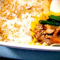 生姜焼き弁当|shinさん