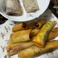 色々春巻き|もーやんさん