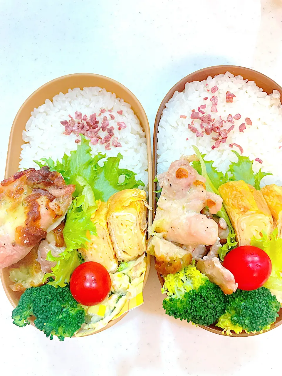 今日のお弁当|Atsukoさん