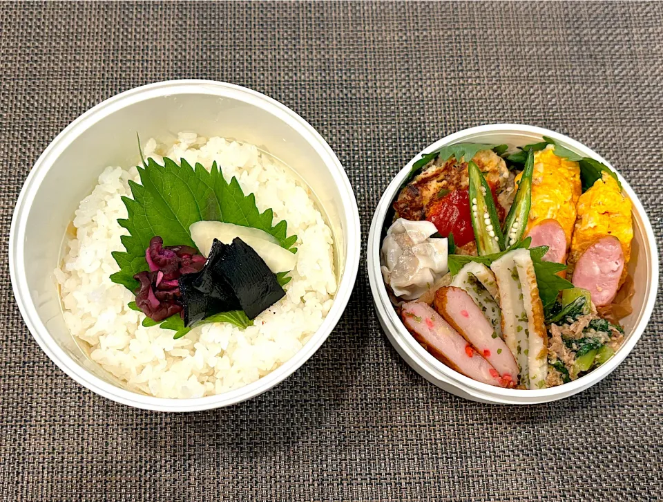 高校生息子のお弁当🍱 ハンバーグ弁当🍱|Snow10さん