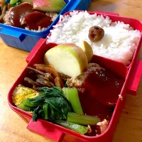 ハンバーグ弁当|ももちゃんのママさん