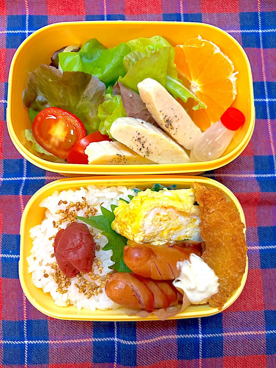 お弁当娘85|ユミさん